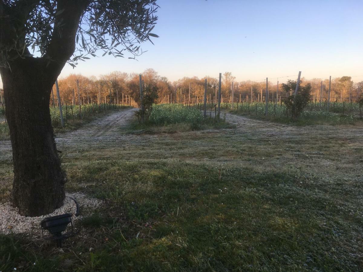 Gite Les Vignes Cravenceres Eksteriør bilde